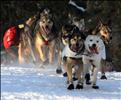 Shooting over the hill near Goose Lake at the ceremonial start of the 37th Iditarod sled dog race, Anchorage, Alaska